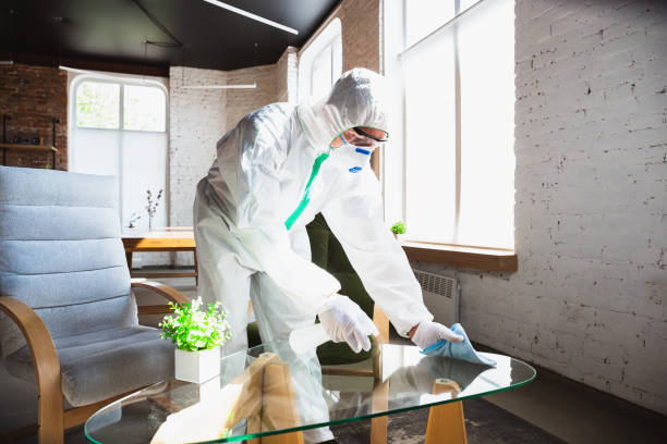 Best Forensic Mold Investigation  in Rancho Laveras, CA