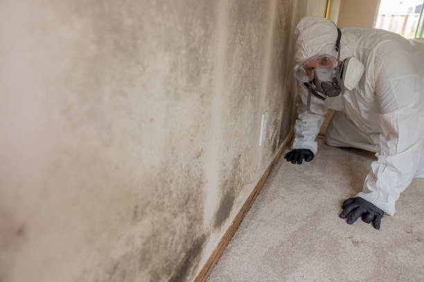 Best Commercial Mold Inspection  in Rancho Laveras, CA